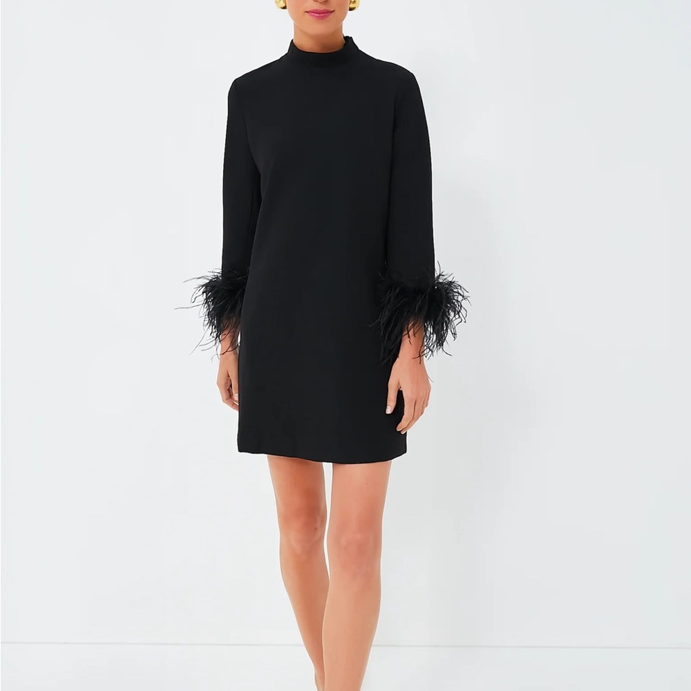 Tuckernuck Black Feather Cuff Mini Dress